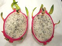 Fruit
