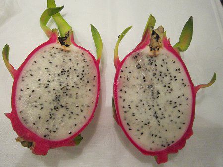 �z���C�g�h���S��