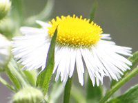 �n���W�I��(�t����)