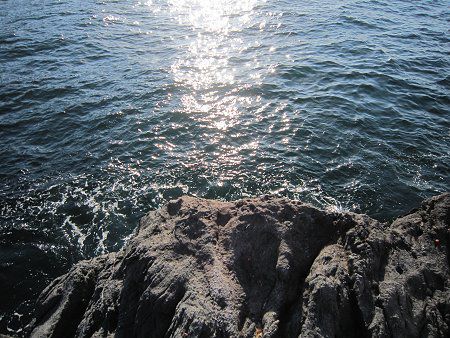 �z�����󂯂��ނ��