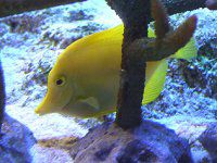 �L�C���n�M10