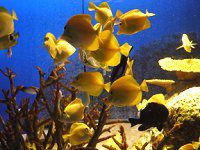 �L�C���n�M14