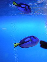 �i�����E�n�M
