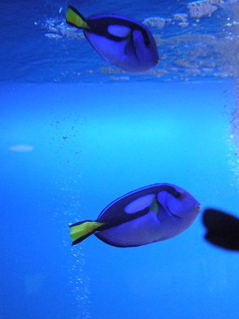 �i�����E�n�M