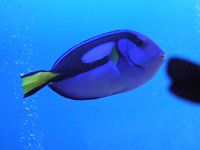 �i�����E�n�M