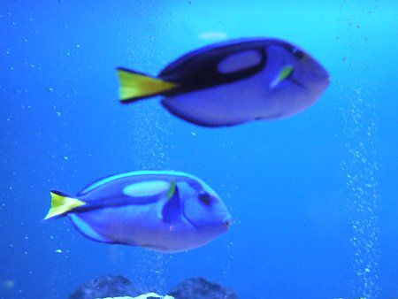 �i�����E�n�M