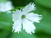 �Z���W���K���s ������