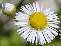 �q���W���I��(�P����)
