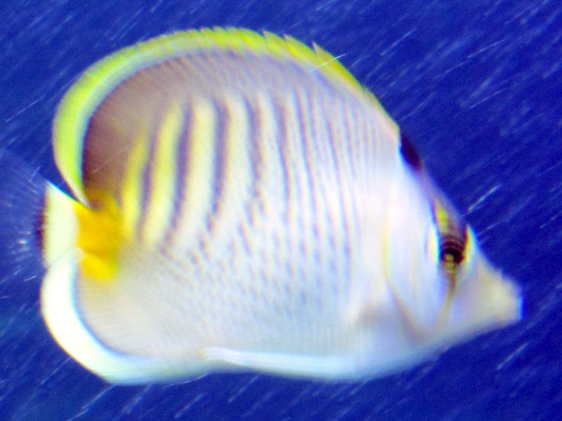 �V�`�Z���`���E�`���E�E�I