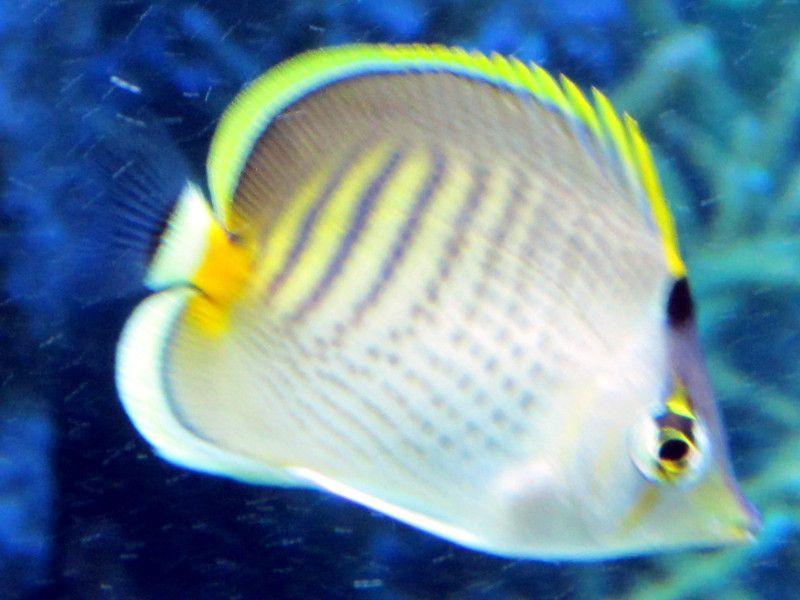�V�`�Z���`���E�`���E�E�I