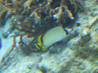 �t�E���C�`���E�`���E�E�I