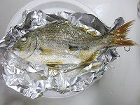�w�_�C���Ă�