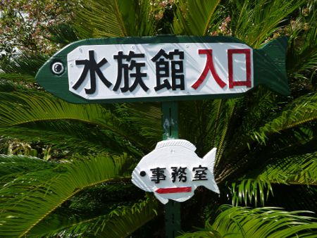 ���s��w���l�����وē���