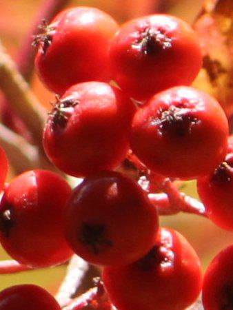 �i���L���i�i�J�}�h�i�싞���}�j6