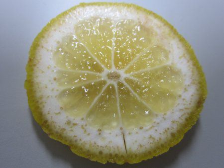 �|�݂���