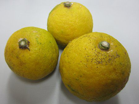 �|�݂���