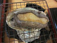 鸗x��H��