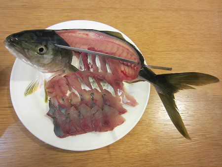 �C�i�_�p����
