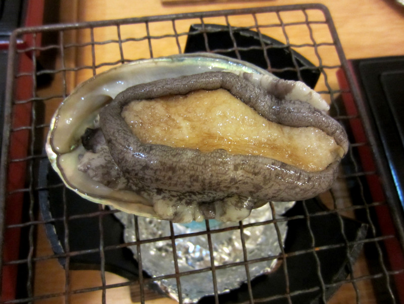 鸂̎c���Ă�