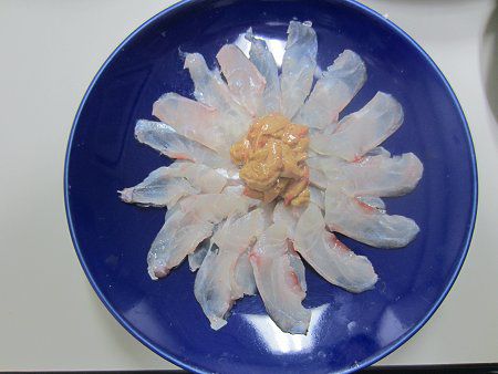 �E�}�d���n�M������