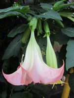 �L�_�`�`���E�Z���A�T�K�I�i�ؗ����N����j