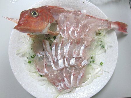 �J�i�K�V���p����