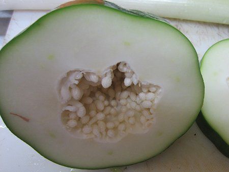 ���n�ȃp�p�C�A