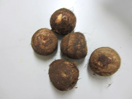 �R�C���i�����j