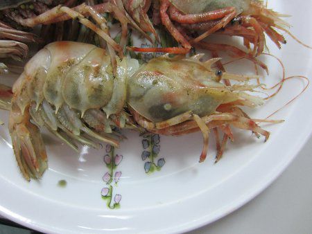 �C�o�����G�r14(��C�V)