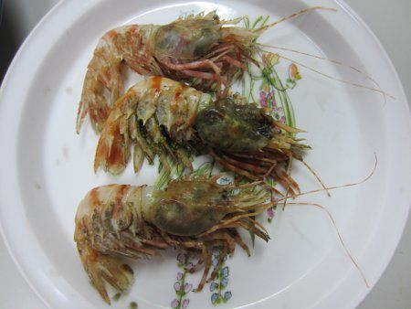 �C�o�����G�r15(��C�V)