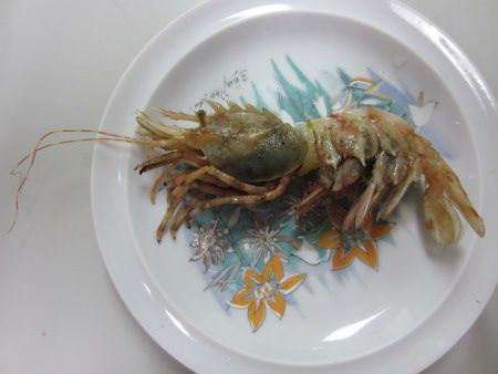�C�o�����G�r18(��C�V)