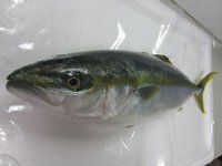 �n�}�`1213_1