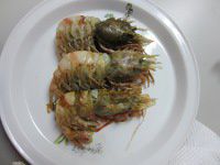 �C�o�����G�r(��C�V)