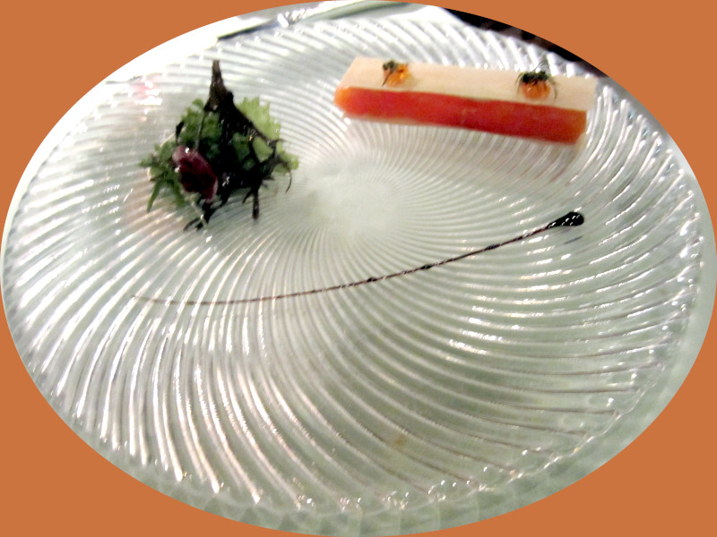 �T�[����