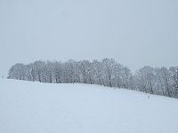 ���X�i����Ђ傤�j
