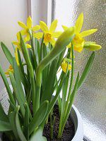 �~�j����Tete a tete