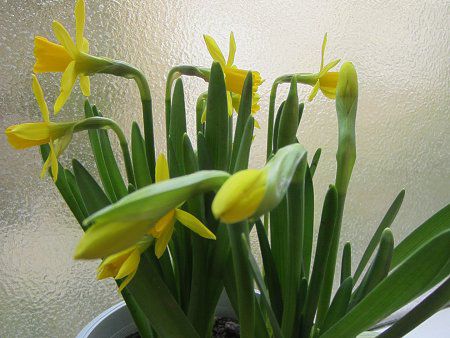 Tete a tete