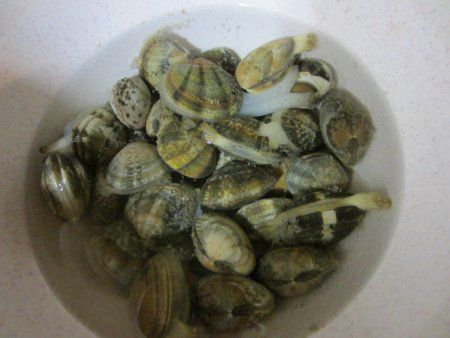 �A�T���i�󗘁j