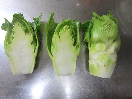 �c�{�~�i