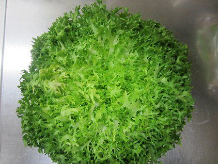 �G���_�C�u�iEndive�j
