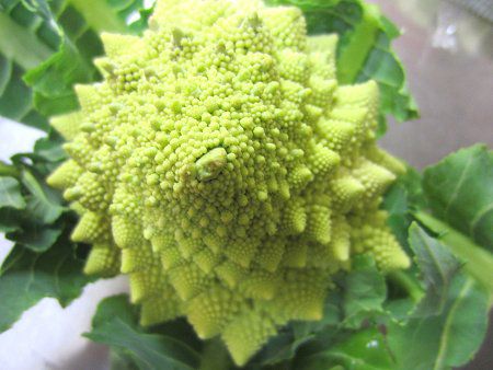 ���}�l�X�R4�iRomanesco)