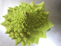 ���}�l�X�R6�iRomanesco)