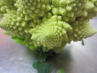 ���}�l�X�R7�iRomanesco)