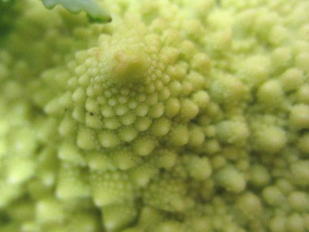 ���}�l�X�R8�iRomanesco)