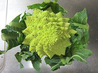 ���}�l�X�R9�iRomanesco)
