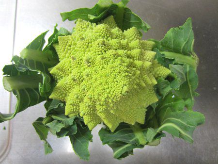 ���}�l�X�R9�iRomanesco)
