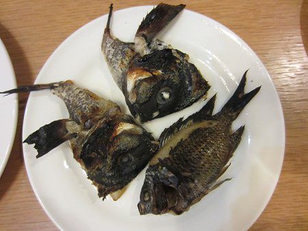 �މʂ̉��Ă�