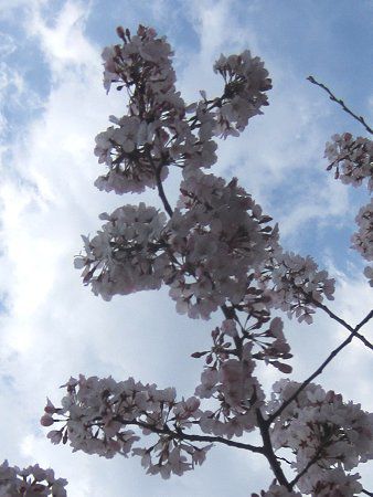 �R�}�c�I�g��2�i���������j