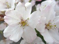 �R�}�c�I�g��4�i���������j