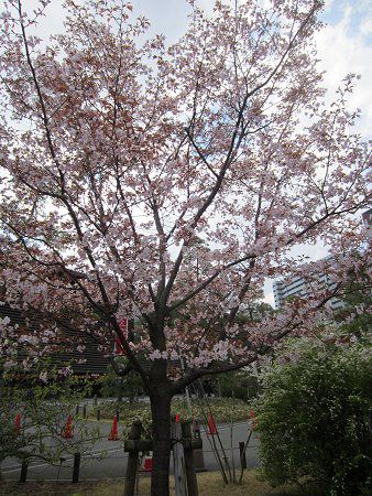 �Z���_�C��9�i��䉮�j